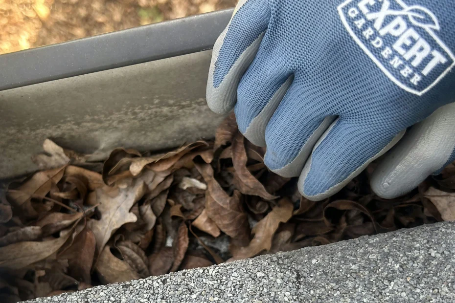 Gutter Cleaning Silver Spring