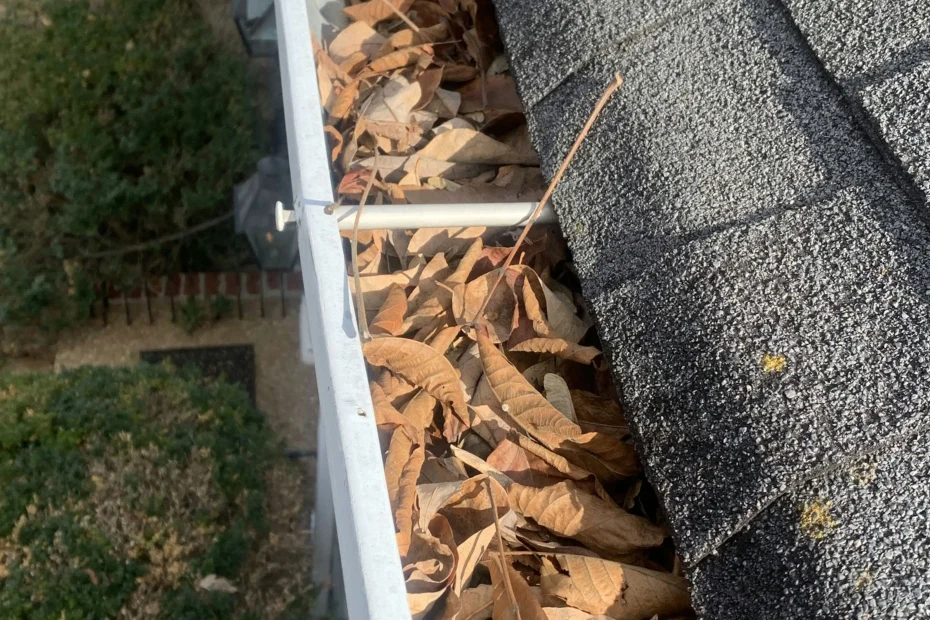 Gutter Cleaning Silver Spring