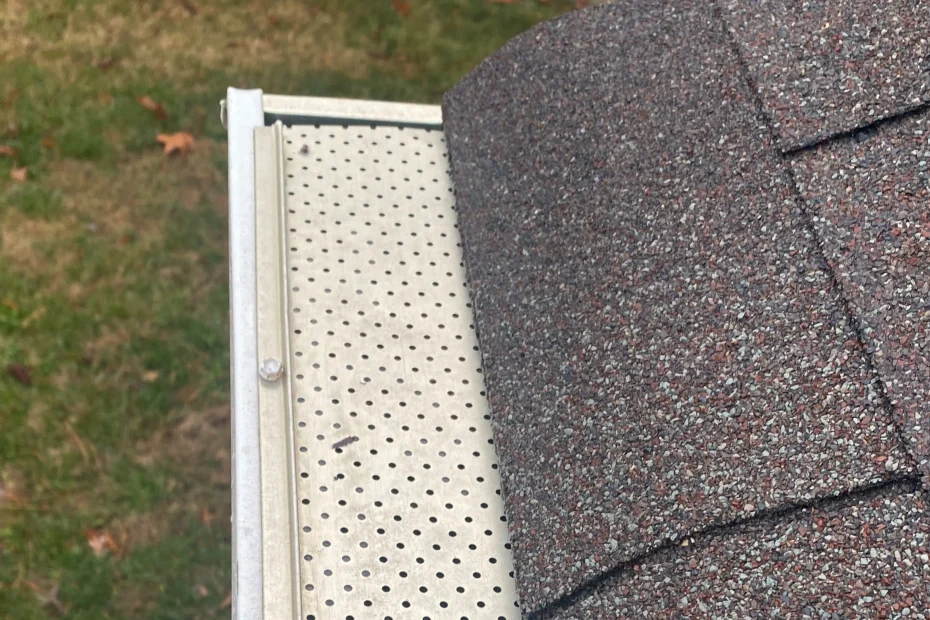 Gutter Cleaning Silver Spring