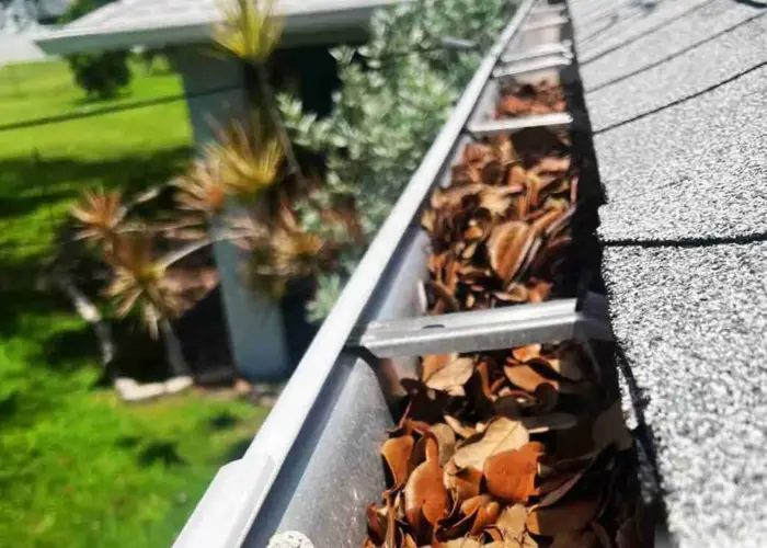 Gutter Cleaning Silver Spring home page